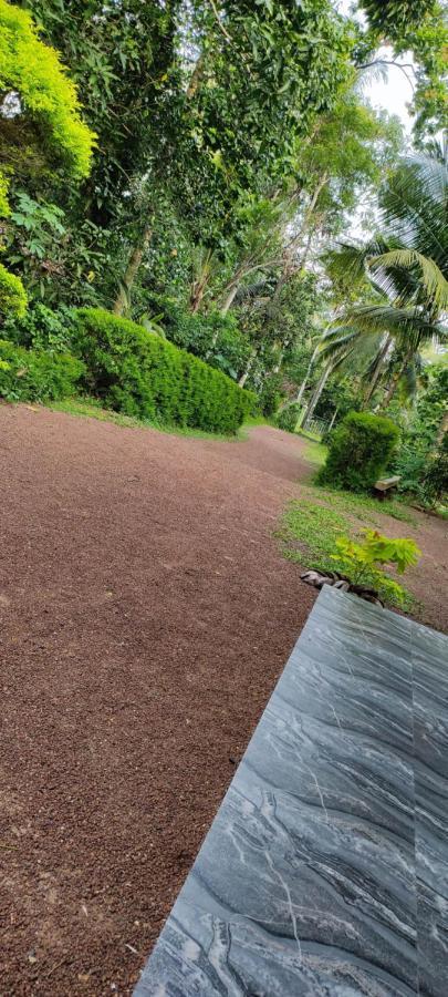 Sunset Villa Negombo Kültér fotó